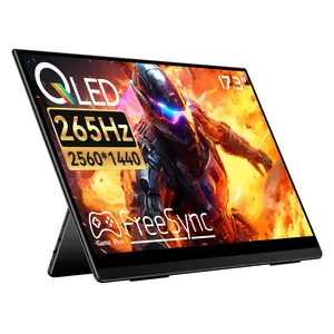 EHOMEWEI D5 Air 265Hz QLED Gaming Monitor 17.3" 2.5K,2560* 1440 300NIT 100% sRGB 16:10 Widescree,GamingMonitor for Laptop PC/Phone/PS5/Xbox Screen Display