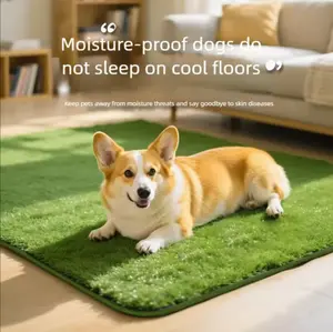 Pet Potty Grass Pad Washable Artificial Turf for Dogs & Cats Indoor Outdoor Training Mat Portable Easy to Clean Pee Pad with Drainage Waterproof Chemical-Free