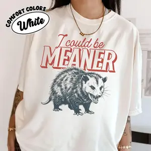 Comfort Colors Funny Opossum Graphic T-shirt, I Could Be Meaner Shirt, Trendy Retro Tee, Sarcastic Sassy Shirt