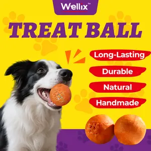 Wellix 100% Natural Beef Hide Treat Ball for Dogs | Beef Hide, Chicken | Handmade, Durable, Long-lasting Chew | Promotes Dental Health & Relieves Boredom (5.23 oz, 150g)
