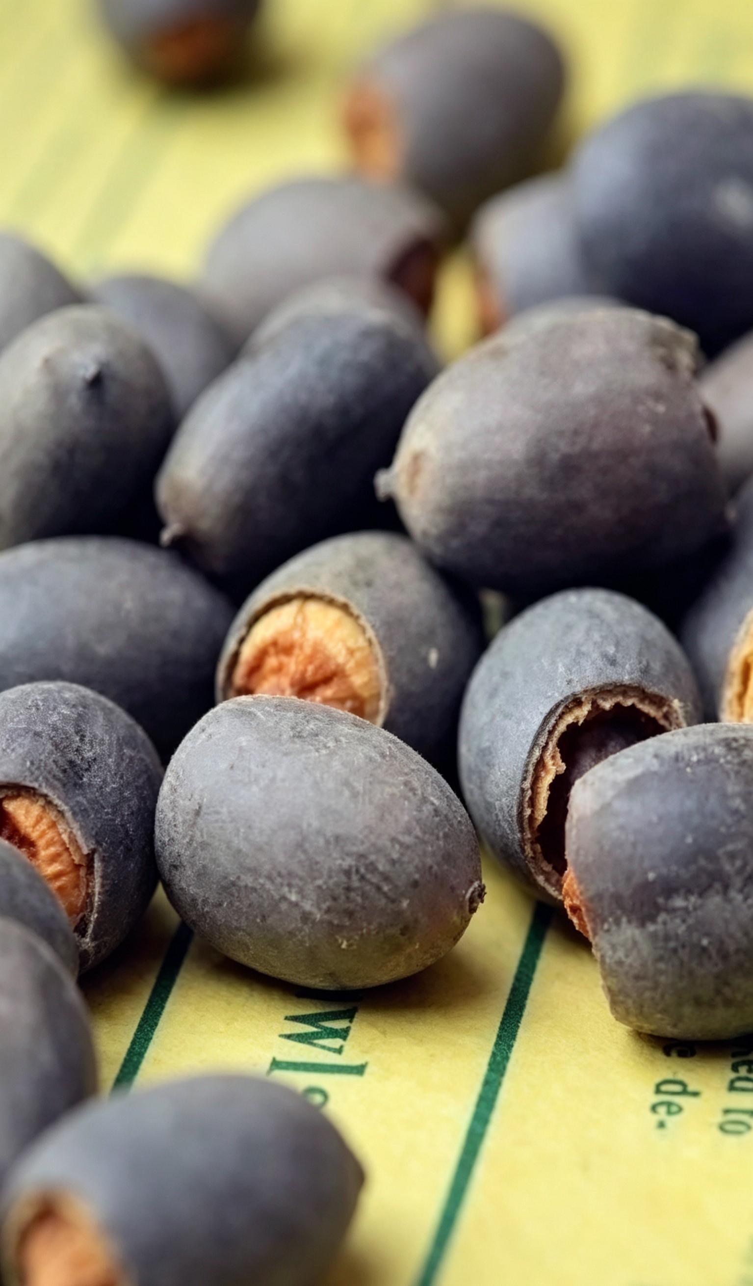 60Pcs Mixed Bowl Lotus Seeds – Vibrant Water Lily Flower Plant Seeds for Ornamental Water Gardens