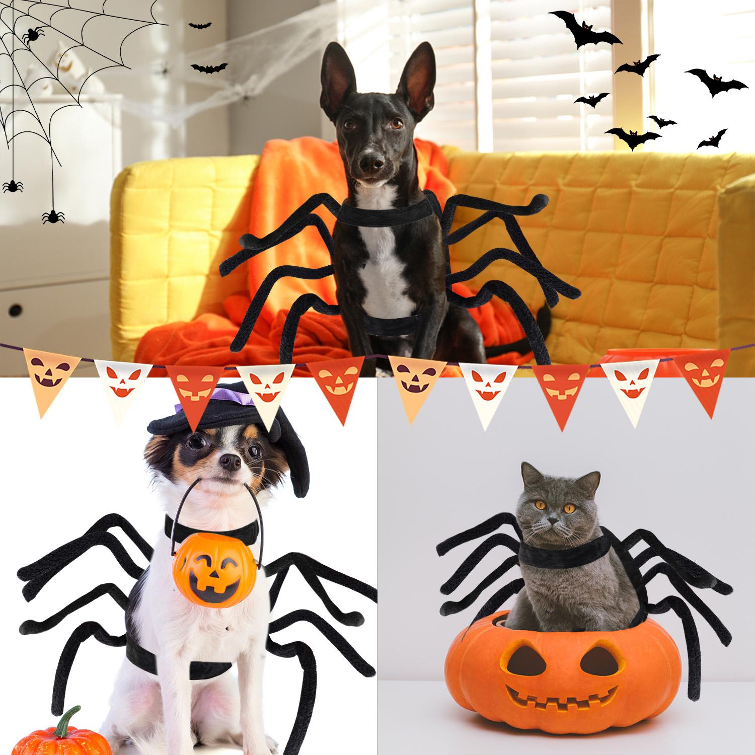 Halloween Pet Cosplay Costumes - Adjustable Spider Web/Bat Wings for Dogs & Cats, Skin-Friendly Breathable Fabrics, Festive Look for Holiday Photoshoots & Party Wear