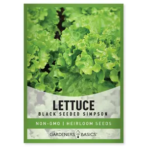 Black Seeded Simpson Lettuce Seeds