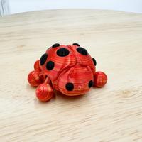 Ladybug