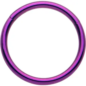 20G Purple Implant Grade Titanium Hinged Nose Hoop