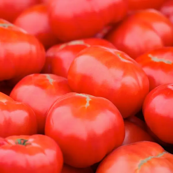 25 Beefsteak Tomato Seeds