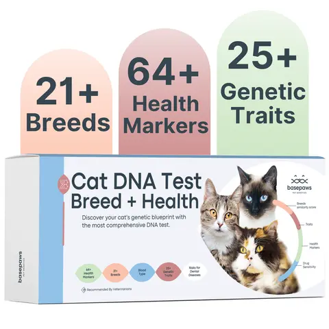 Basepaws Cat DNA Test Kit - 1 Pack, Breed & Health Reports, Wildcat Index, 39 Health Markers, 17 Genetic Disease Screenings
