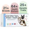 Basepaws Cat DNA Test Kit - 1 Pack, Breed & Health Reports, Wildcat Index, 39 Health Markers, 17 Genetic Disease Screenings