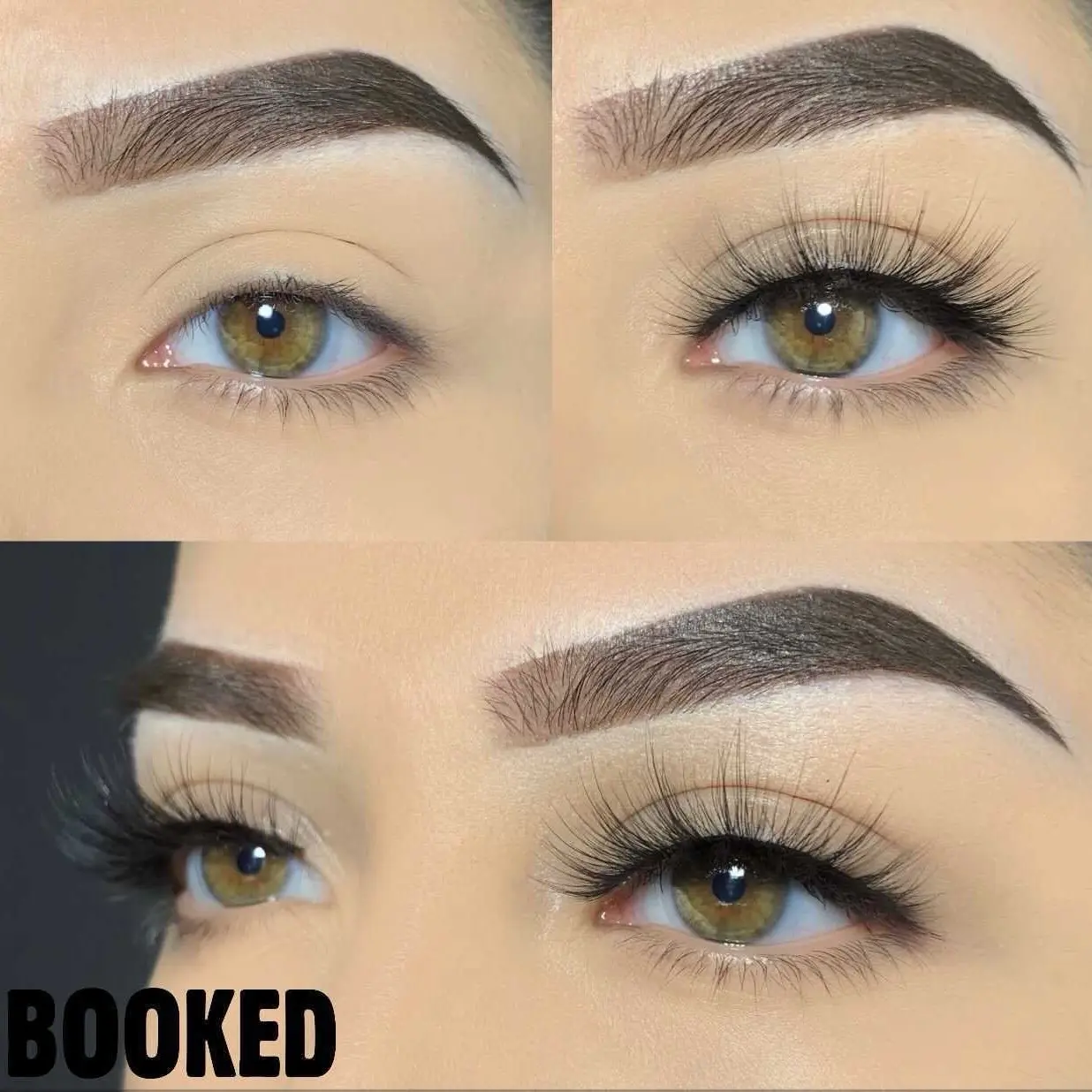Booked Faux Mink Lashes