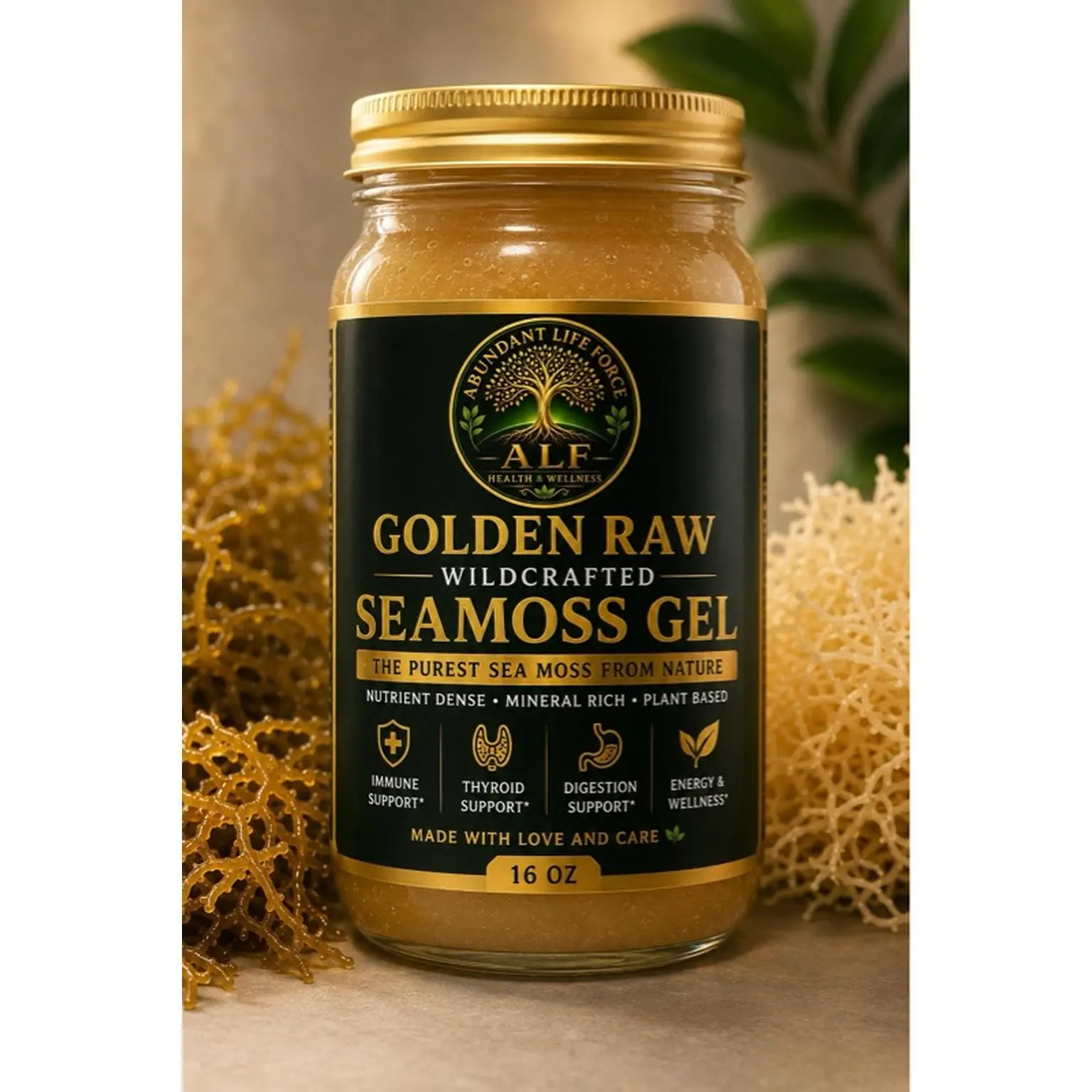 Abundant Life Force Golden Raw Wildcrafted Seamoss Gel 16 oz - Nutrient Dense Mineral Rich Plant Based for Immune Thyroid Digestion Energy Wellness