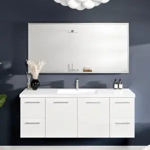 Eviva Vista 72" x 30" Rectangular Brushed Nickel Metal Framed Mirror