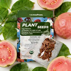 Guava seeds, suitable for potted plants, greenhouses and outdoor gardens, easy-to-cultivate fruit tree seeds.