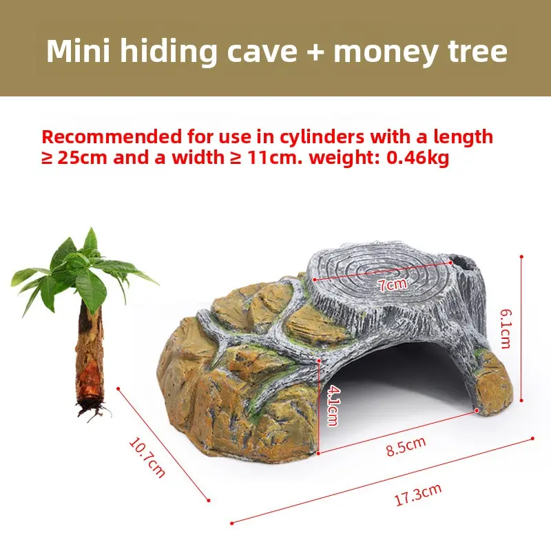 [Sun Platform] Mini Size + Money Tree
