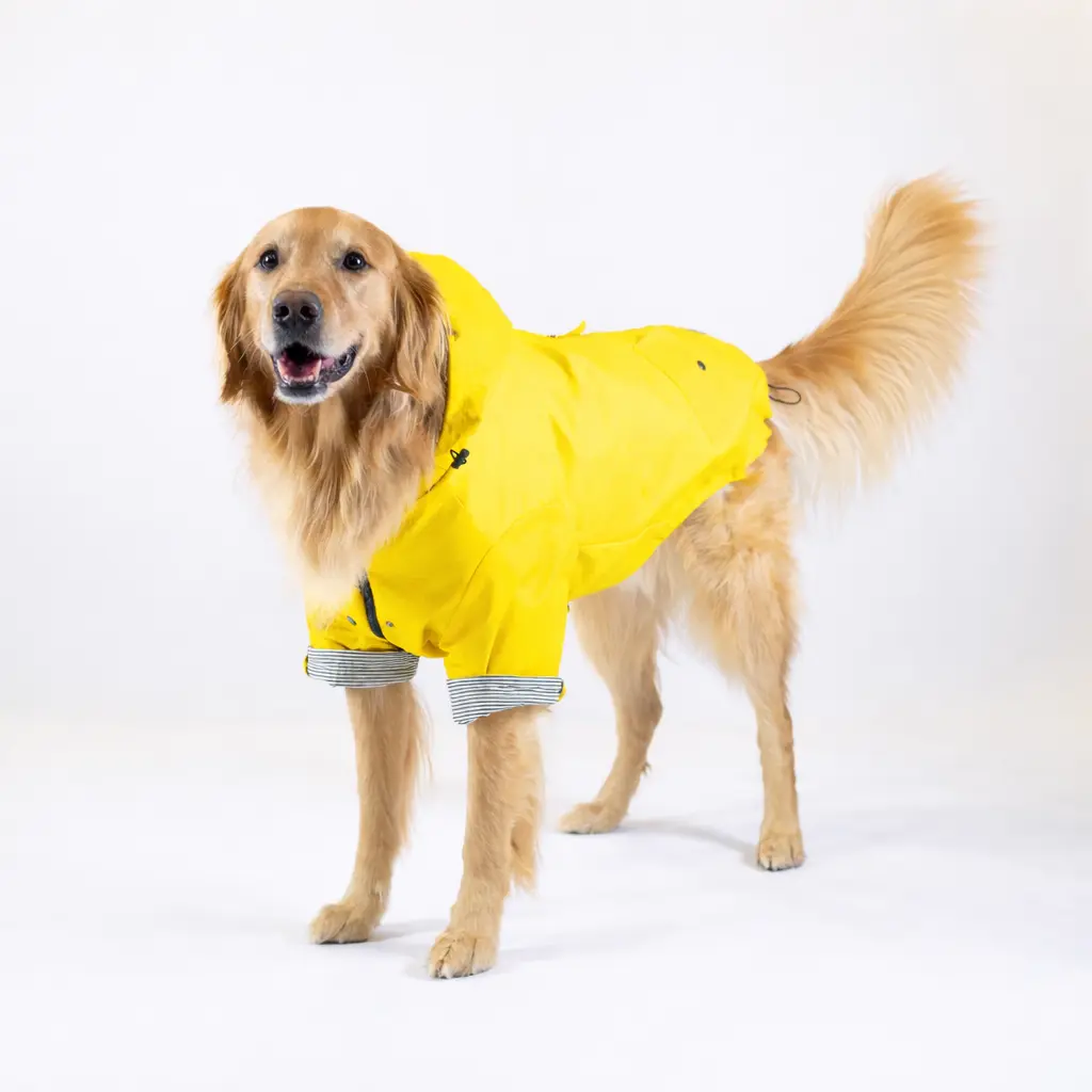 Dog Rain Jackets By AGuyandAGolden