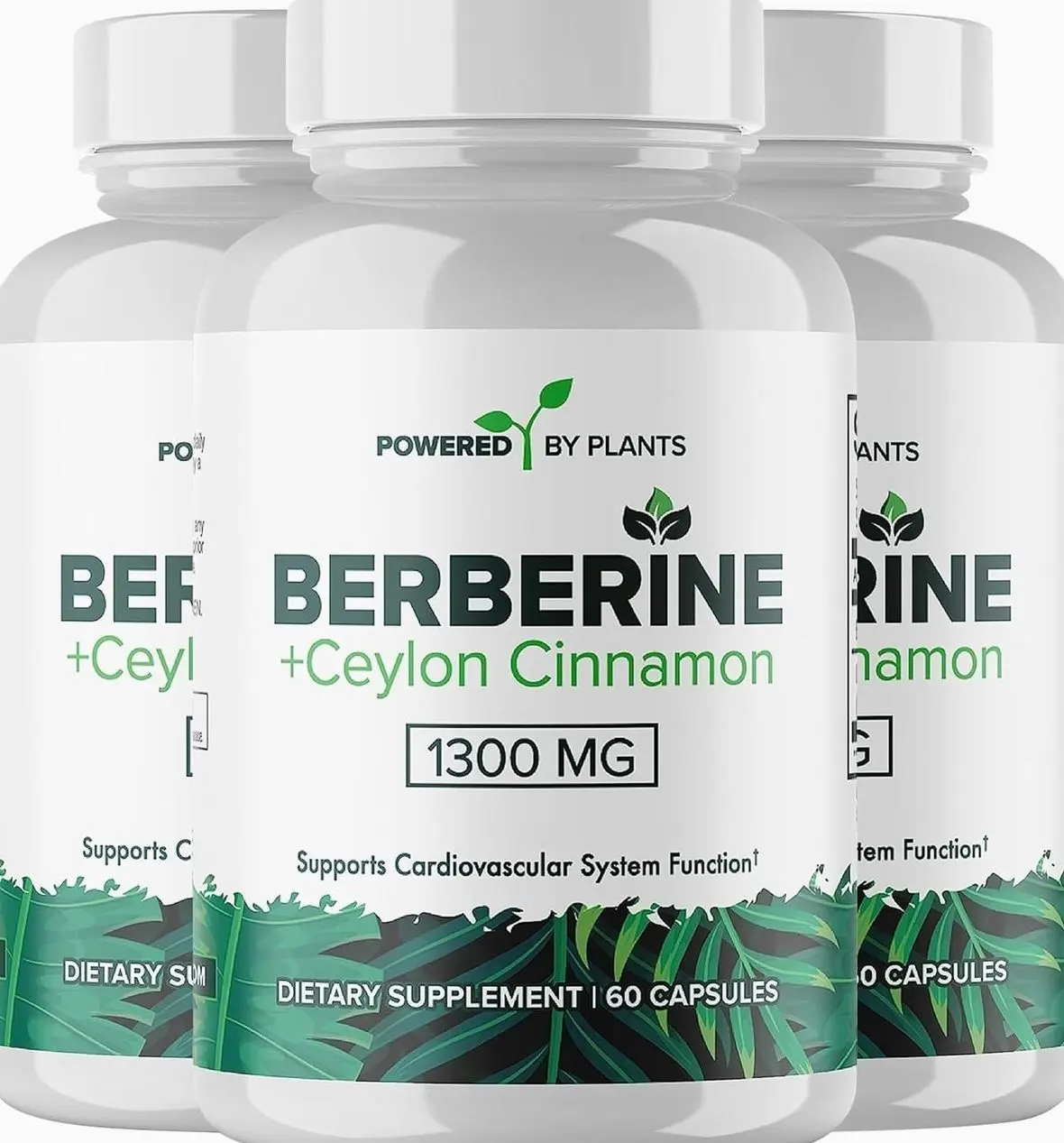 Pure Berberine Supplement - 1300mg Berberine with Ceylon Cinnamon for Metabolism & Immune System Support - 1 Pack of 180 Servings