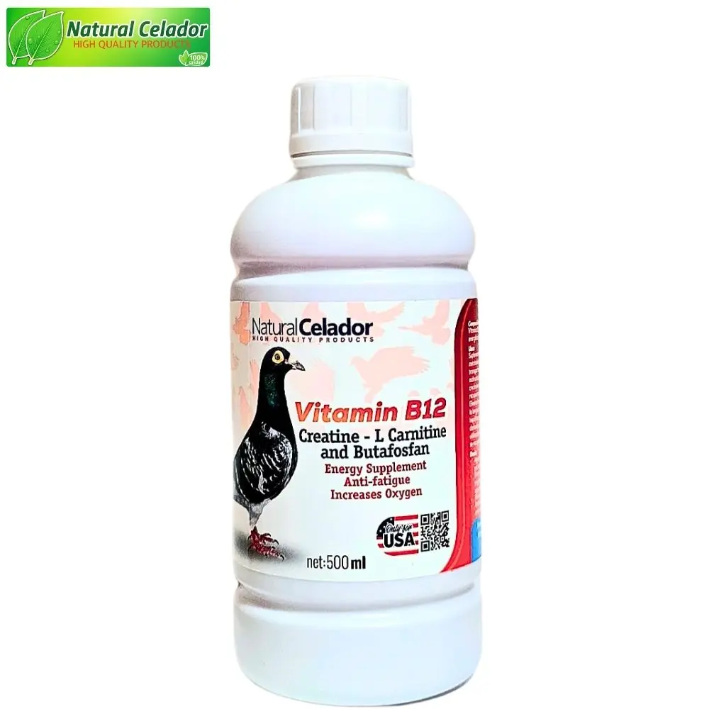 how to give b12 injection in leg Best Vitamin B12 Injection Sites