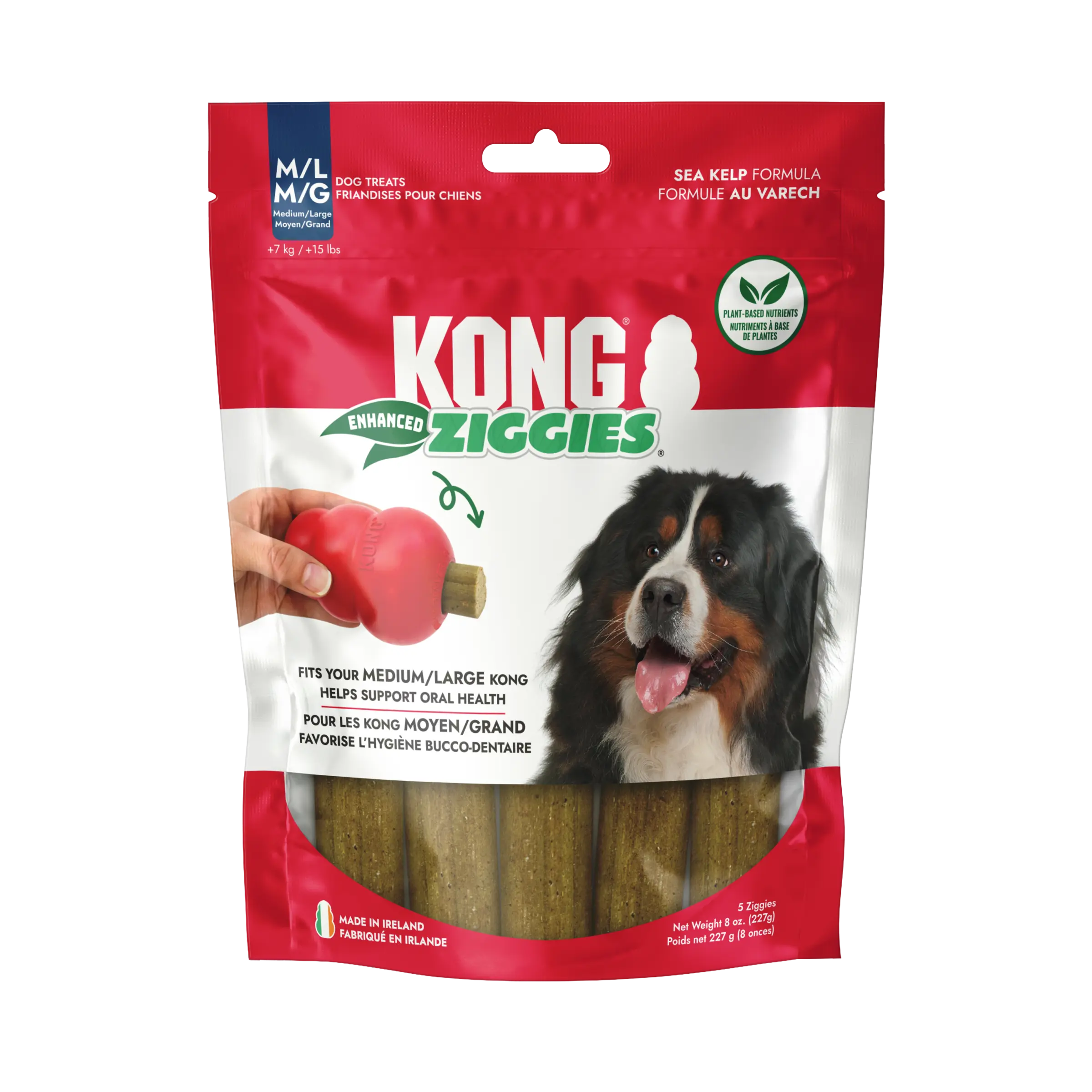 KONG Enhanced Ziggies Plant Based Dog Chew Treat, 5 Count, Large/Medium Dogs