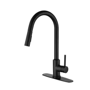 Anti-Rust High Arc Curved Spout Kitchen Faucet - Single Handle, 360° Rotation, Pull-Down Detachable Head Sprayer