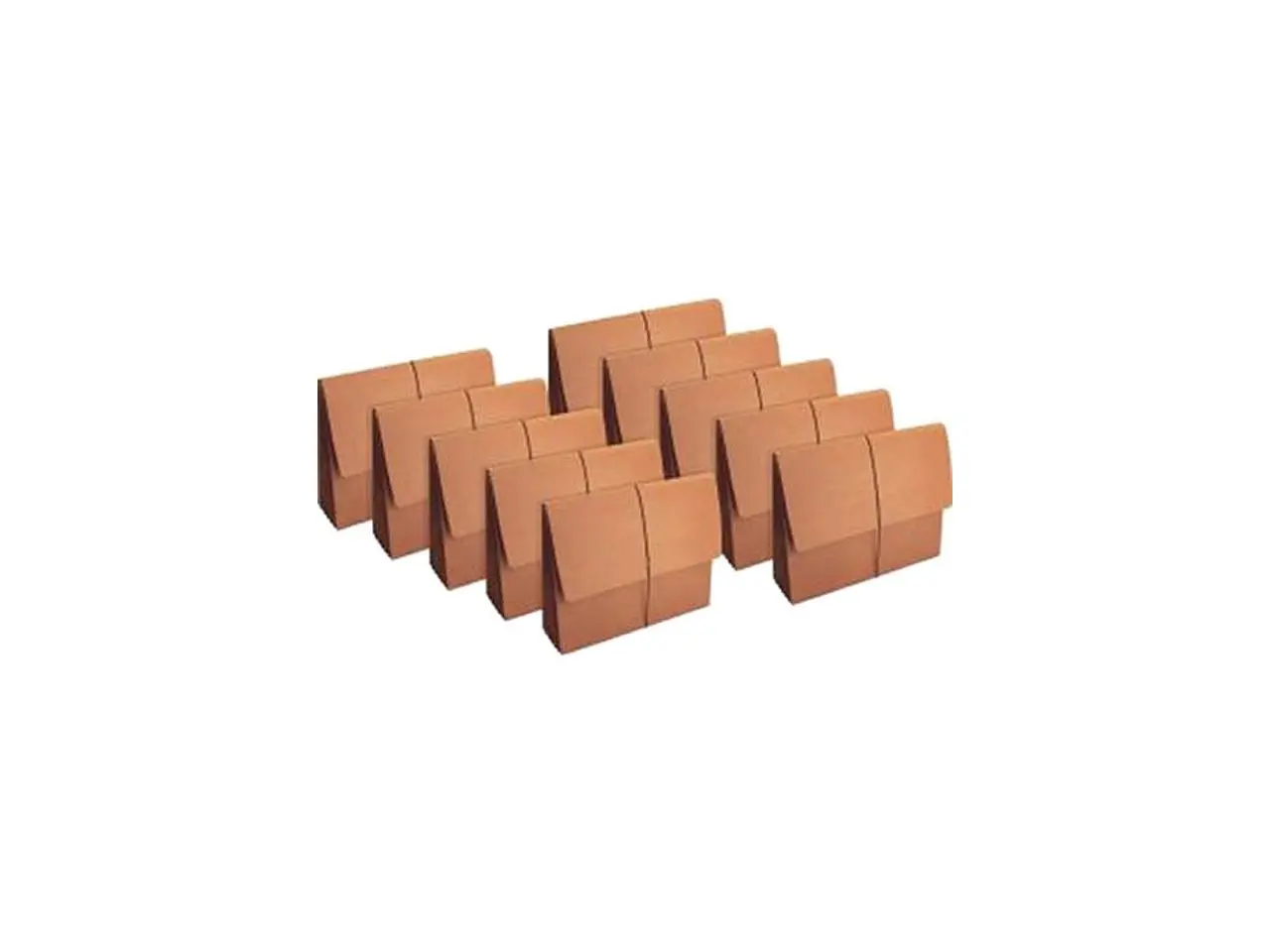 Business Source Accordion Wallets, 5-1/4" , 10 Wallets (BSN26575BX)