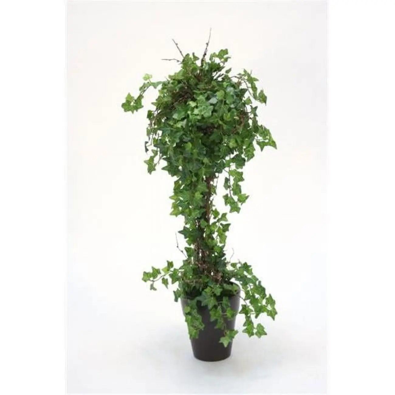 Mini Ivy Topiary in A Stoneware French Pot - Greens
