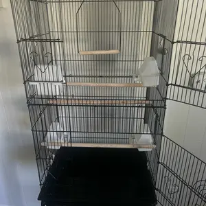 Segawe 59'' Bird Cage Large Wrought Iron Cage for Cockatiel Sun Conure Parakeet with Rolling Stand