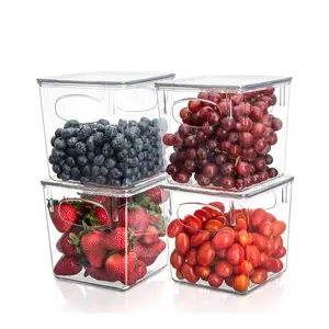 Clear Plastic Container Bins w/ Lids (Small) Kitchen Set Utensils Bottle Storage