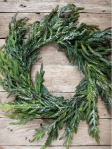 24” Iced Garden Norfolk Pine Wreath