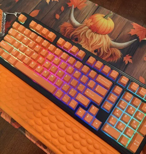 The Highland Peek-a-Boo Keyboard Full Set (ft.Click Therapy Studio)