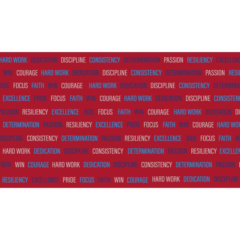 Inspirational Team USA Doggie Hoodie