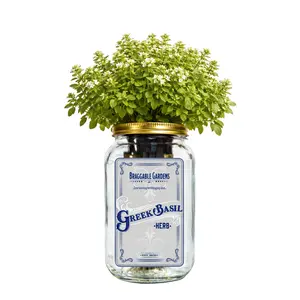 Greek Basil Indoor Herb Garden Kit – Mason Jar Hydroponic Grow Kit – Windowsill Countertop Basil Planter – Grow Fresh Basil Indoors