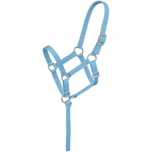 Tough1 Foal Halters