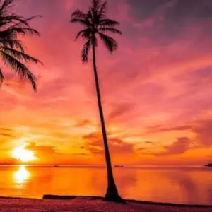 background preload poster image 