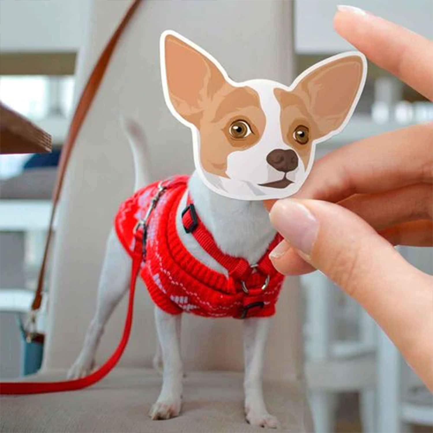 Custom Pet Sticker, Die Cut Vinyl Waterproof, Personalized Gift, Custom Dog Sticker, Custom Cat Sticker, Water Bottle Sticker, Pet Decal, Pet Lover Gift