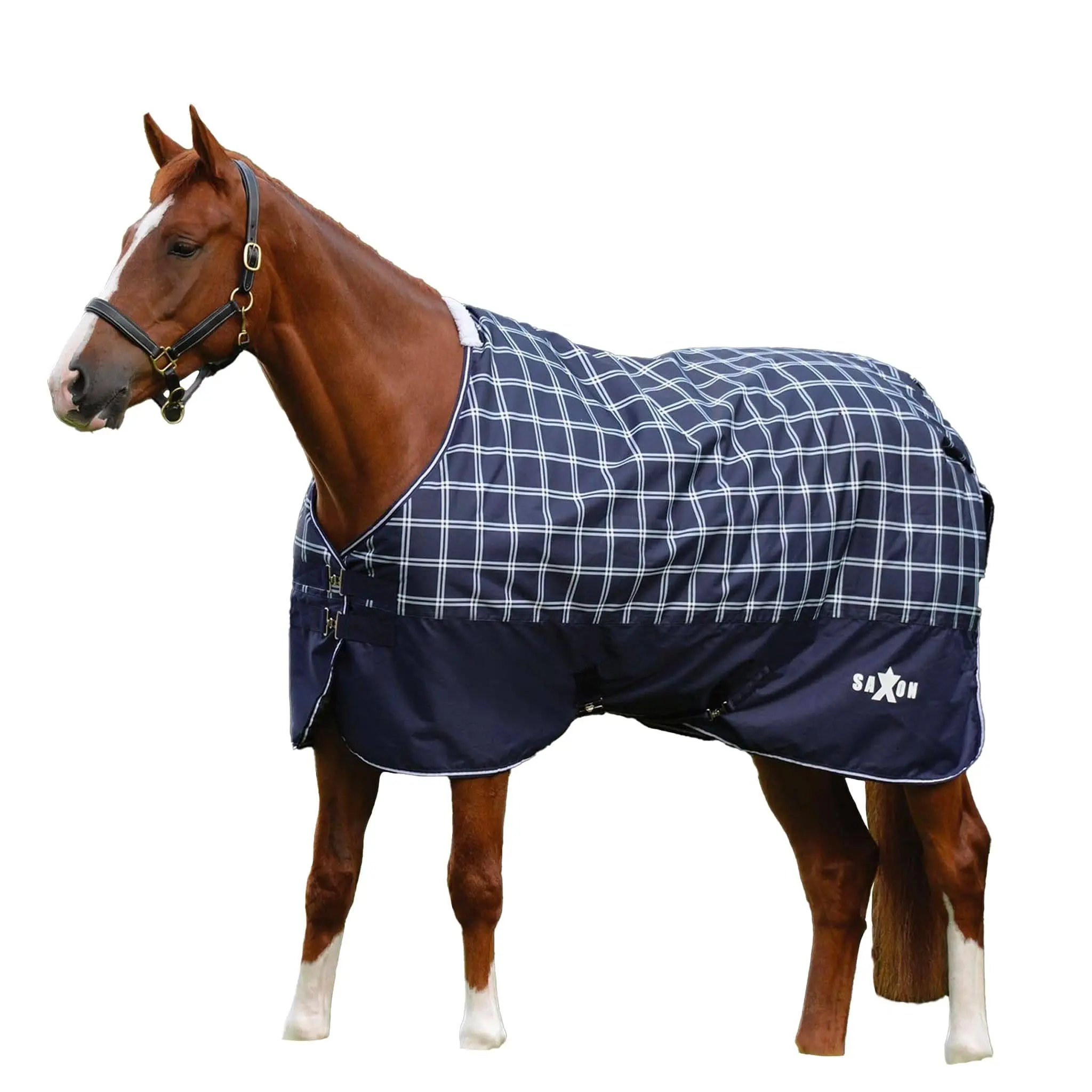Saxon Defiant 600D Standard Neck Turnout Sheet Lite