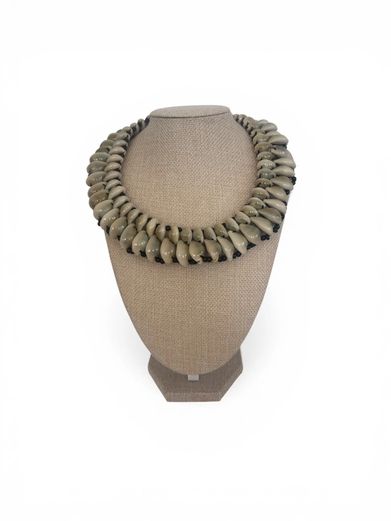 Double Cowrie Shells Necklace