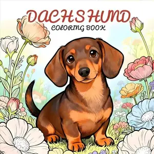 Special Offer Animal Coloring Pages, 4 Designs Available, Single Page Print, 24 Sheets, Perfect for Kids Art Activities