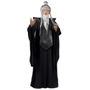 Sensei Master Costume