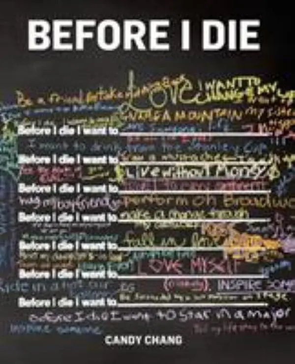 USED Book - Before I Die by Candy Chang (Hardcover) - english
