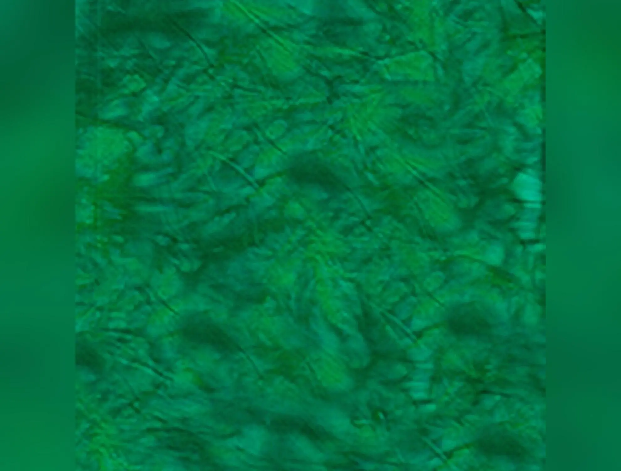 Lava Solids Batik | Emerald (1616) by Anthology Fabrics | 100% Cotton