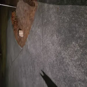 Product Review of Homeika Dog Grooming Vacuum Kit - 3L Vacuum with 7 Tools, Low Noise Electric Clipper and Brush for Pet Shedding at Home from S**t