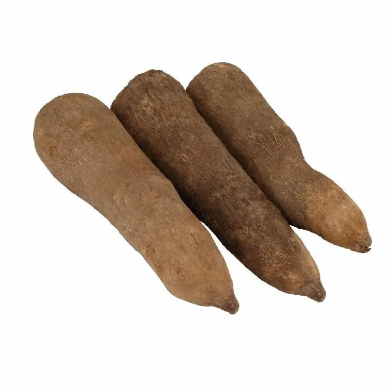 Ghanaian New Pona Yam Seasoning Spice - 12lbs, Flavorful Cooking Staple, Flavor