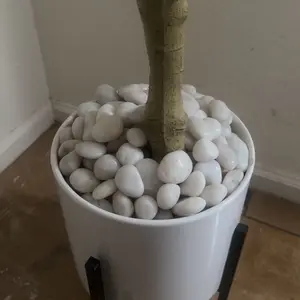 Decorative Polished Pebbles 2-3cm, Ideal for Indoor Plants & Outdoor Gardens, Perfect for Vases, Aquariums, Festive Decorations