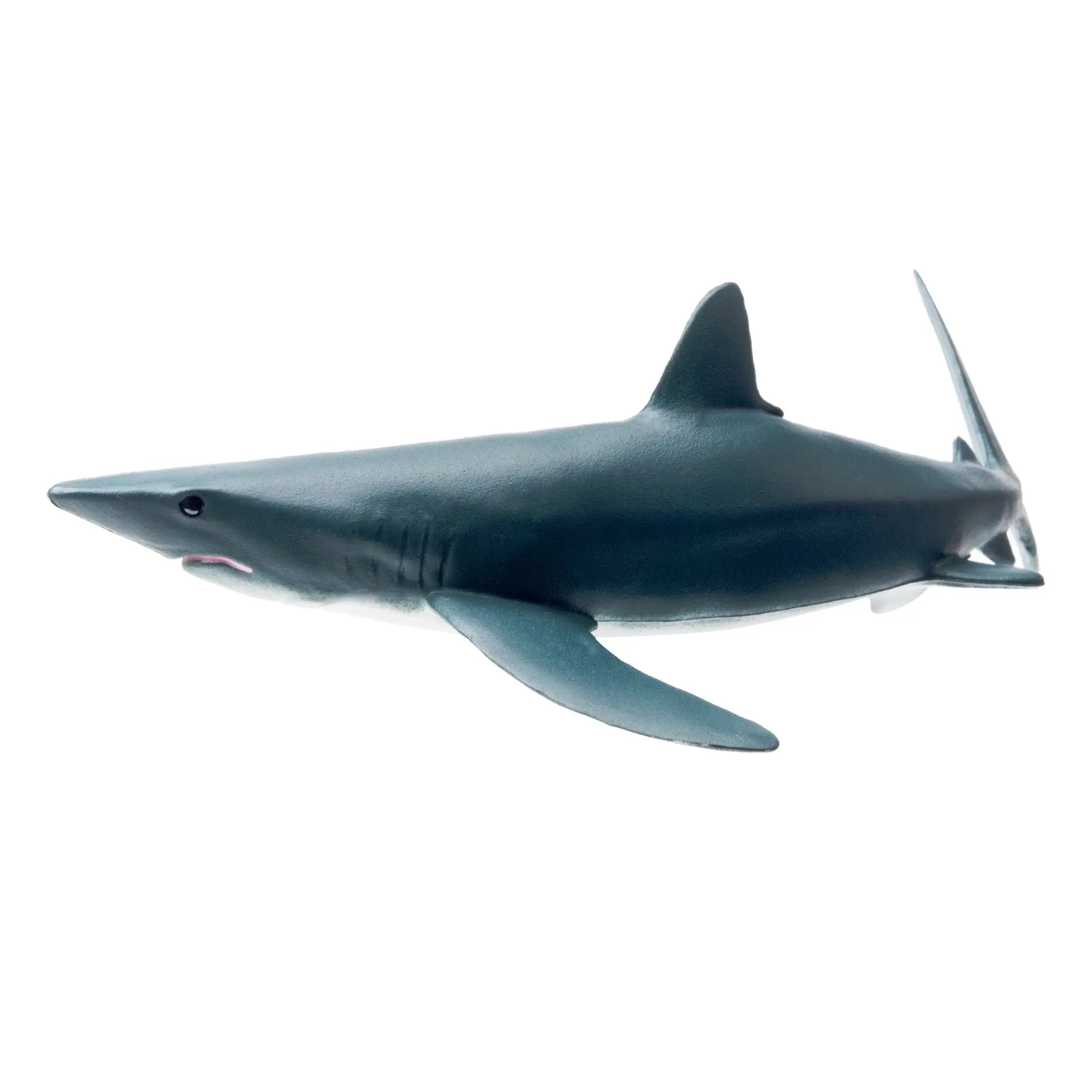 Toymany Hand-Painted Blue Shark Figurine – Realistic Marine Animal Model, Perfect for Early Education, Montessori Sensory Play, Cake & Party Decorations, Desk & Home Décor, Thoughtful Gifts, and Collectible Figurine