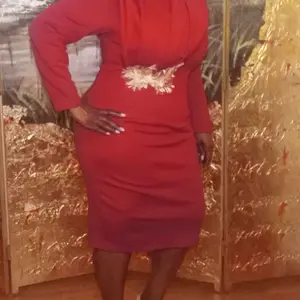 Plus Size Fashion Embroidered Long Sleeve Party Dress, High Waist Evening  Gown, Elegant Cross-Border Big Code Formal Wear Dresses for Women - TikTok  Shop