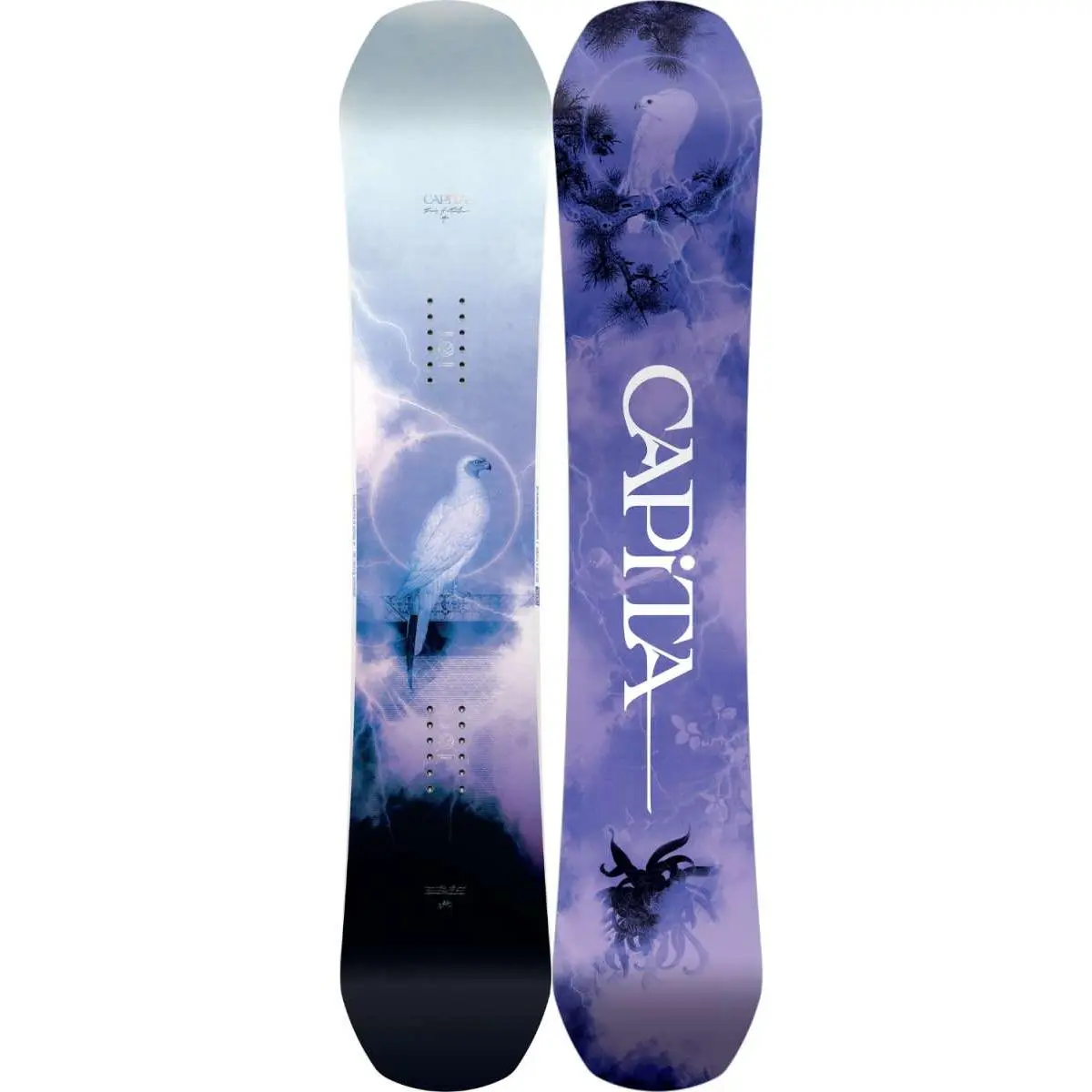 Capita Women's Birds of a Feather Snowboard 2024 Capita Women's Birds of a Feather Snowboard 2024