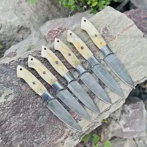 6 Piece Damascus Steak Knife Set Bone Handle