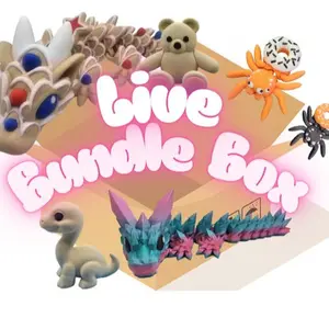 $90 Live Bundle Box of 3D Printed Figurines Decor Ornaments for Unique Home Decor and Collectibles