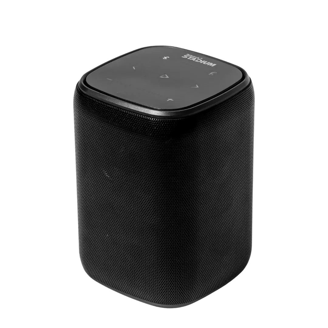 Single Speaker