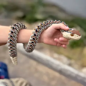 Articulated Bush Viper Fidget Toy: 3D Printed Dragon Snake Desk Decor