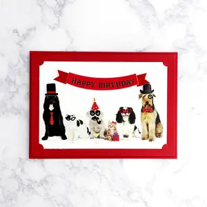 Handmade Pet Photo Booth Birthday Card
